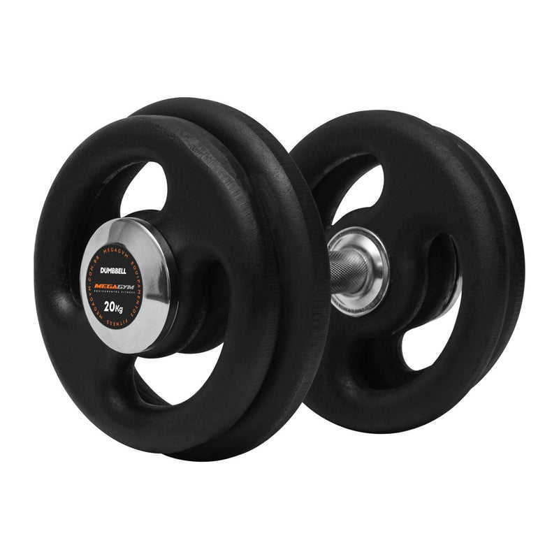 Halter 20kg Dumbbell Pintado