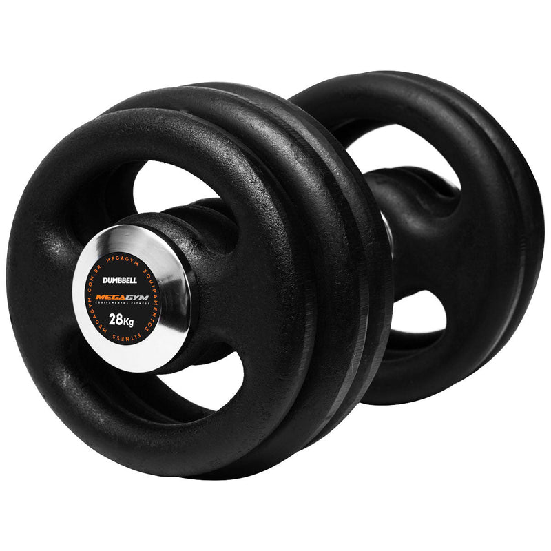 Halter 28kg Dumbbell Pintado